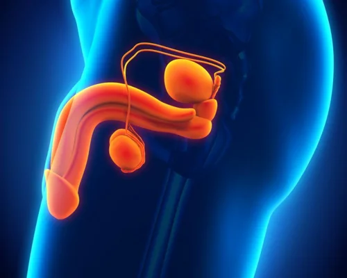 Prostate Specialist Surat