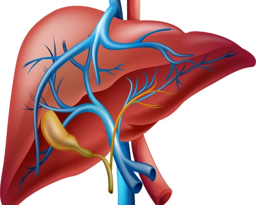 Liver Surgery Specialist Surat