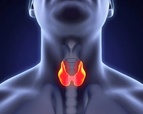 Thyroid Cancer Specialist Surat